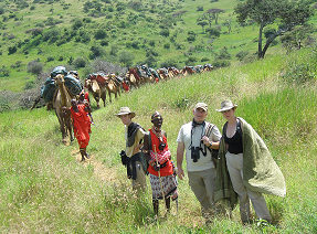 Travel in Kenya